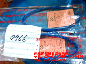 日本坂口電熱熱電偶　￠3.2X200  補償線(xiàn)2米[￠3.2X200  補償線(xiàn)2米]
